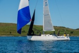spirit of jacana irl1335 whyw22 sun 800_2113yi